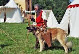 ../thumbnails/020-a05sherpa2.jpg.small.jpeg