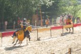 ../thumbnails/018-joute.jpg.small.jpeg