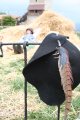 ../thumbnails/030-repos2.jpg.small.jpeg