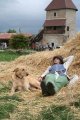../thumbnails/031-repos3.jpg.small.jpeg