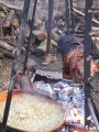 ../thumbnails/016-IMG_1383.JPG.small.jpeg