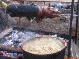 ../thumbnails/017-IMG_1384.JPG.small.jpeg