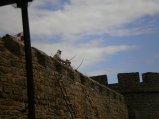 ../thumbnails/016-P8114998.jpeg.small.jpeg