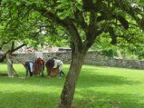 ../thumbnails/020-Montrottier 12 031.jpeg.small.jpeg