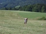 ../thumbnails/038-StJorioz_20130728_39.jpeg.small.jpeg