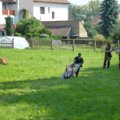 thumbnails/006-Budyne_20140808_21.jpeg.small.jpeg